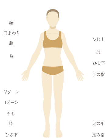 女性脱毛パーツ