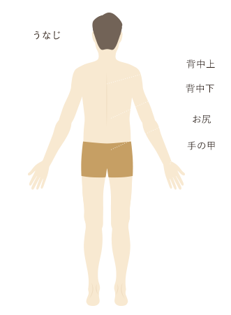 男性脱毛パーツ